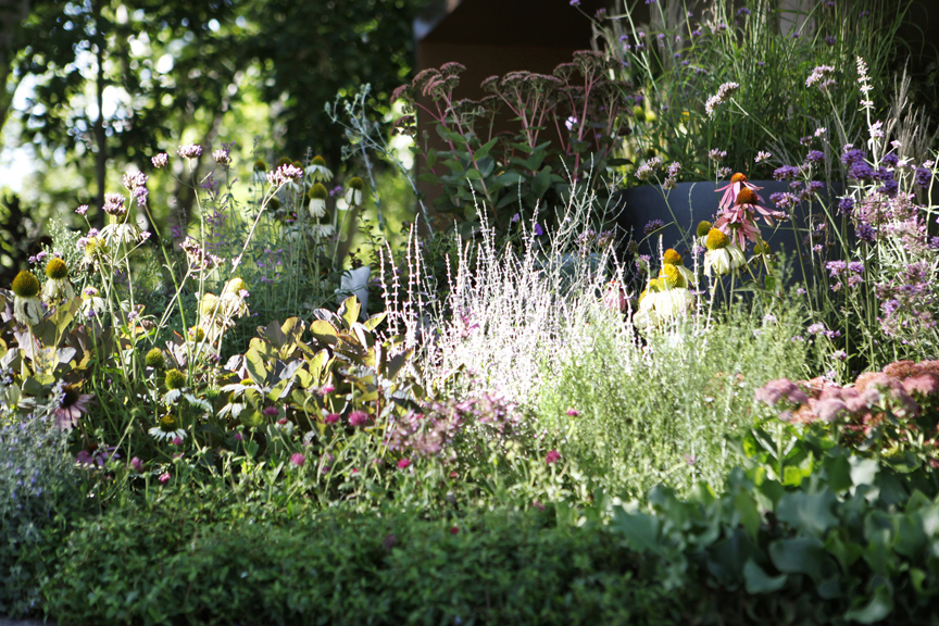 The perennial planting scheme in gold medal award winning garden'The New Wave' by Ian Barker Gardens at MIFGS 2013
