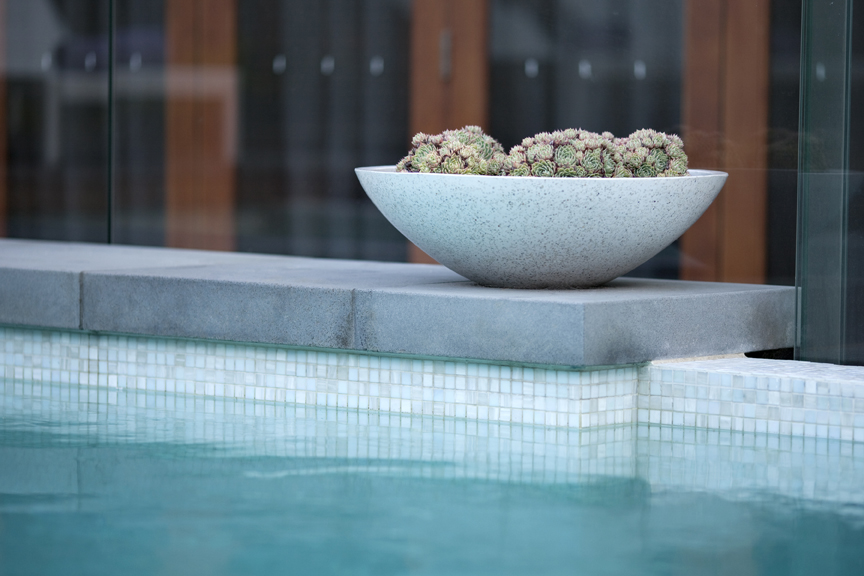 Succulent bowl perched on the edge of this contemporary pool designed by Ian Barker Gardens is a beautiful finishing touch to the garden. 