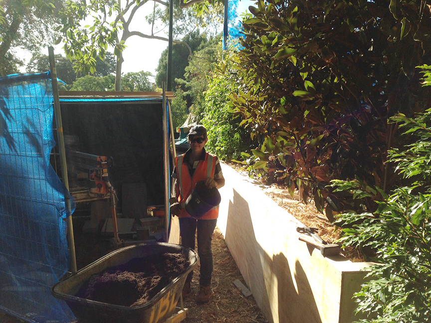 Plants and mulch go in to Cross Roads designed by Melbourne garden design company Ian Barker Gardens