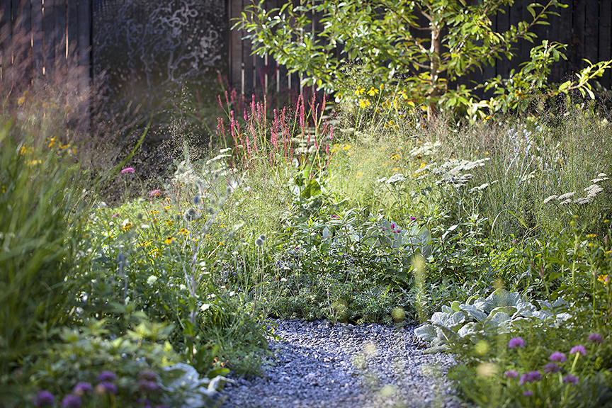 Ian Barker Gardens_Melbourne International Flower & Garden Show 2016_Sally Plottel Photography_Naturalistic Planting and Gravel Path