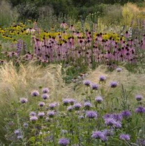 International Garden Designer Cassian Schmidt