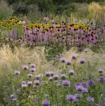 Cassian Schmidt - International Garden Designer - Ian Barker Gardens