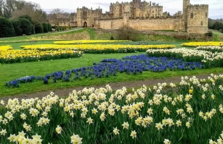 Alnwick Castle, Northumbland garden design, featured in Ian Barker Gardens blog on garden design styles - Curves or Straight Lines?