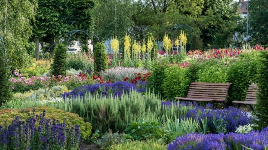 The Jellocoe Water Gardens Park, Hemel Hempstead, UK - featured in Ian Barker Gardens, Garden Notebook