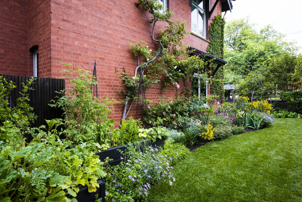 Classic informal side garden at Camberwell Project by Ian Barker Gardens