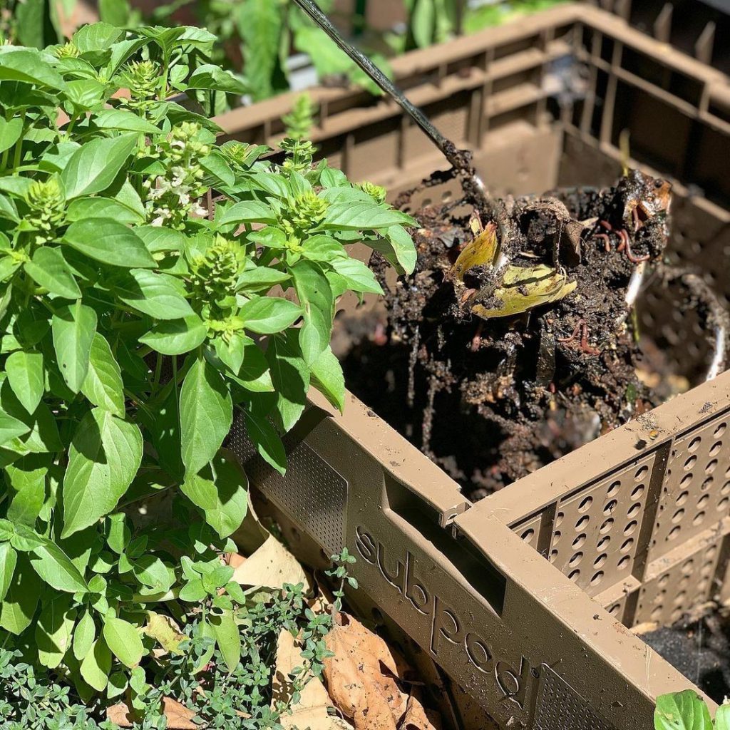 Subpod Compost Bin