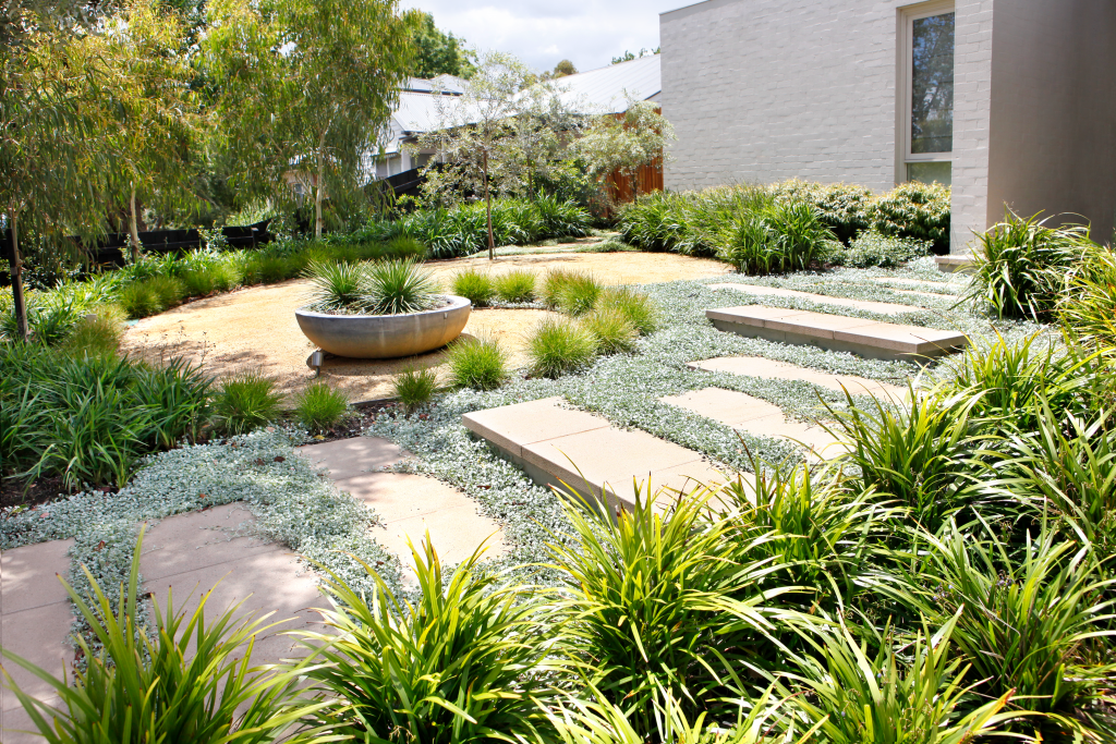 Image of Liriope muscari 'Monroe White' companion plant for Dichondra Silver Falls