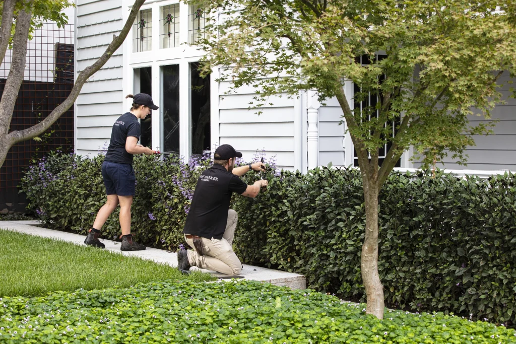 Bee-friendly garden maintenance