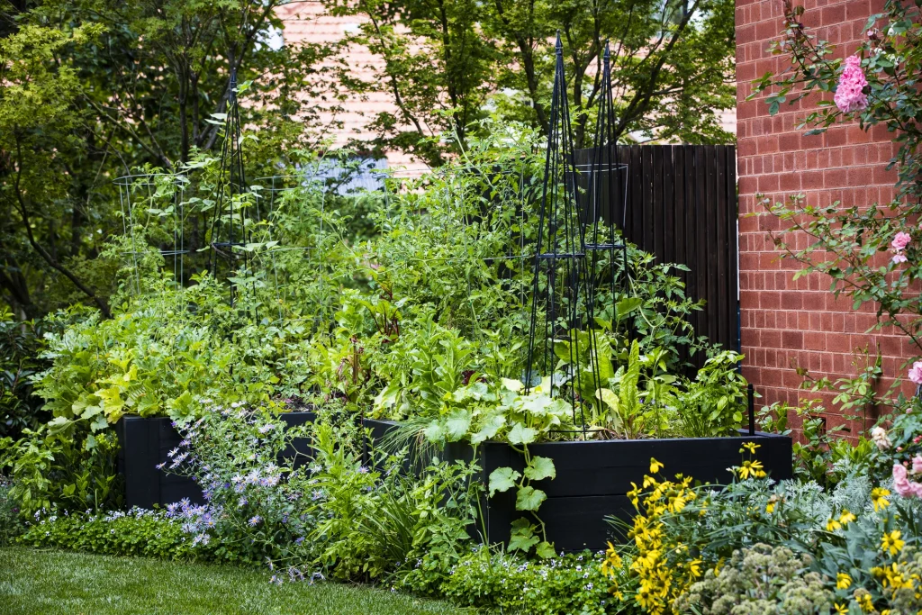 Bee-friendly vegetable garden