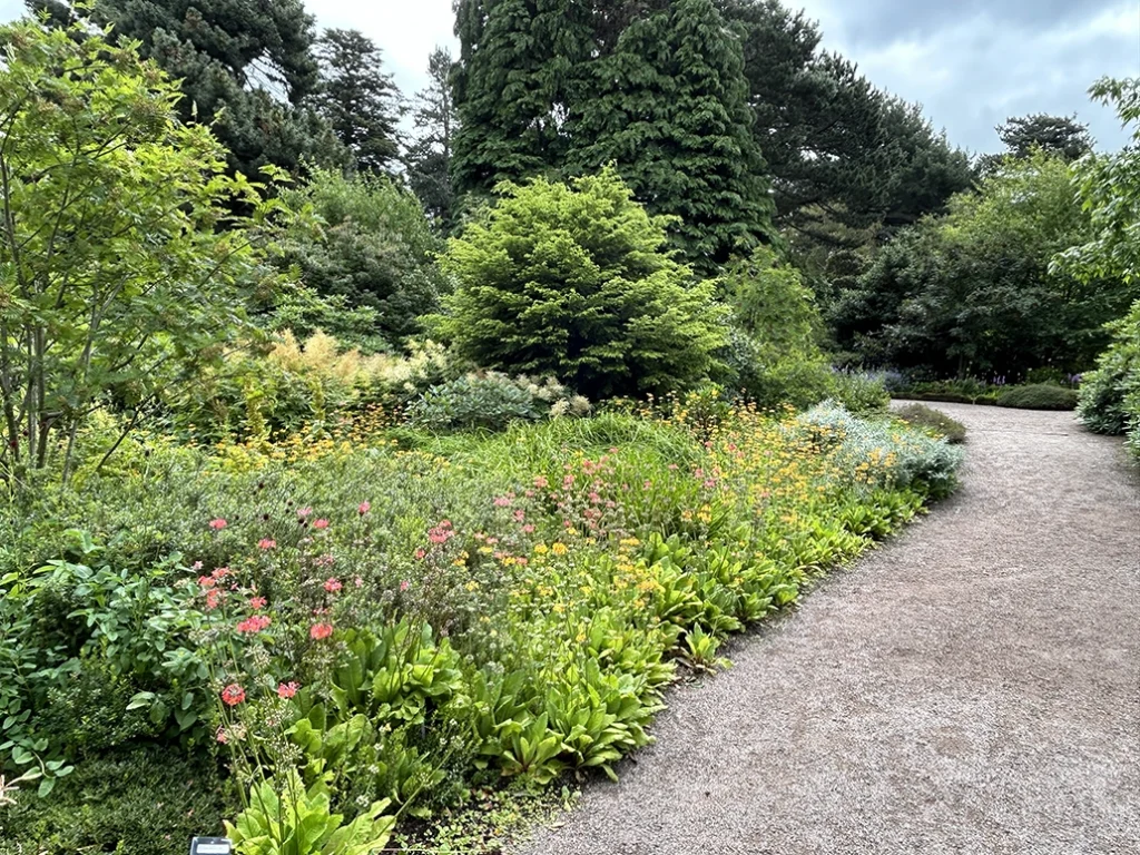 Royal Botanic Garden Edinburgh shrubbery