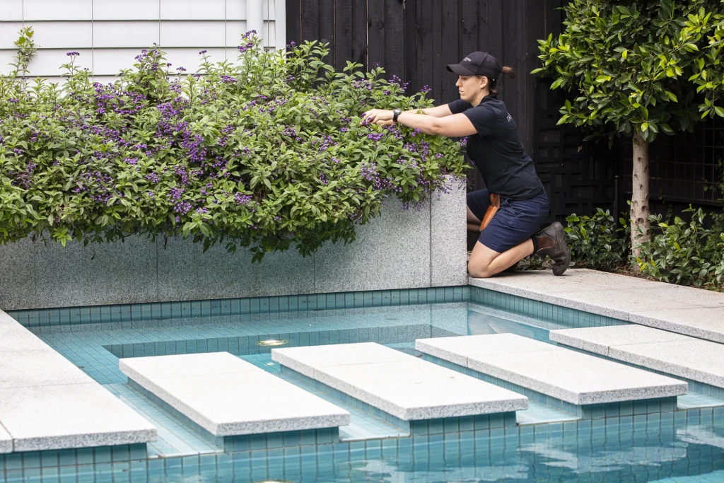 Team member kneeling attending to plants.