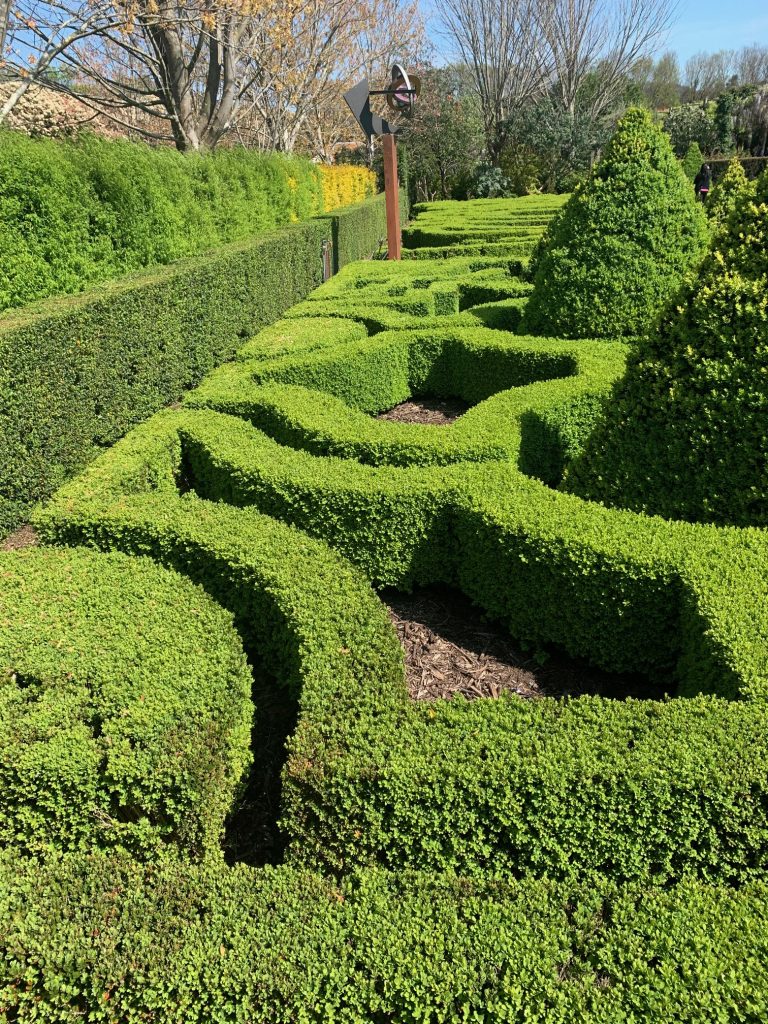 Parterre Garden at Alowyn Gardens. 