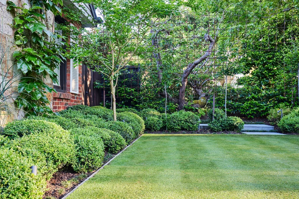 Buxus Garden front lawn.