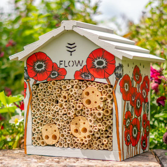 Flow Hive Bee Hive
